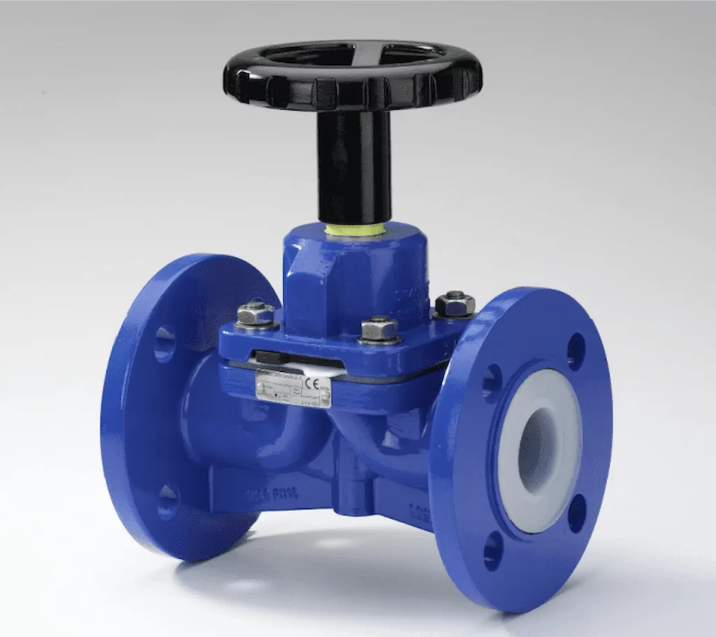 Globe Valve
