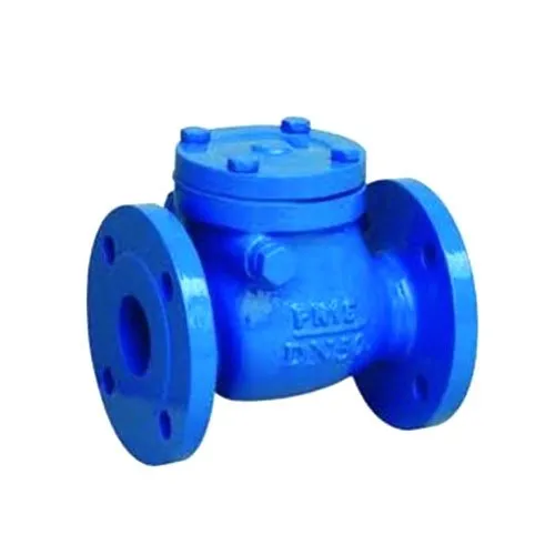 Swing Check Valve