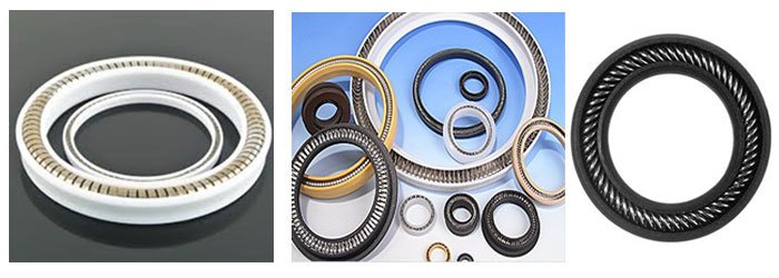 Spring Energized Seal